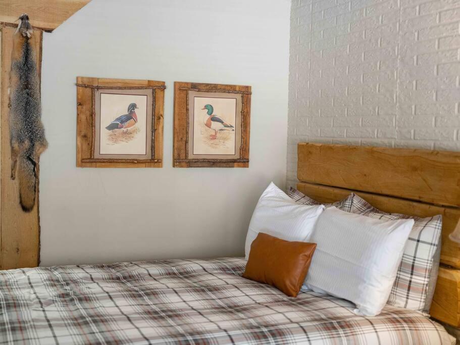 Stonegate Lodge 2 Queen Beds Fast Wifi 50In Tv Salt Water Pool Room # 305 Юрека Спрингс Екстериор снимка